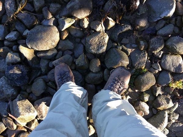 Preparation for hiking in Tasmania rocky track example from Tasmanian Iconic Walks