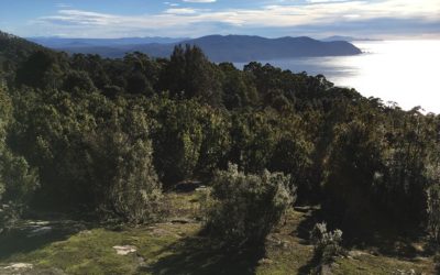 Preparation for Hiking in Tasmania