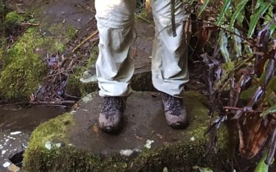 Shoes for your Tasmanian Iconic Walk – Tasman Arch to Fortescue Bay