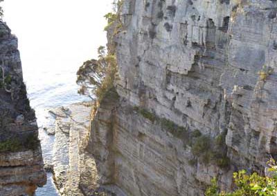 Tasman Peninsula during the Tasmanian Iconic Walks event 2018