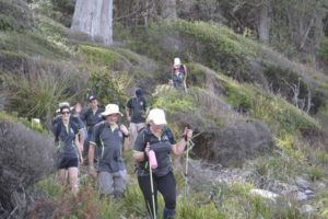 Team Bonding from hiking in Tasmania with Tasmanian Iconic Walks 2018