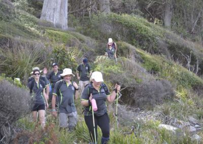 Team Bonding from hiking in Tasmania with Tasmanian Iconic Walks 2018