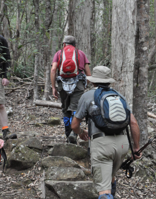 2 men hiking up a hill