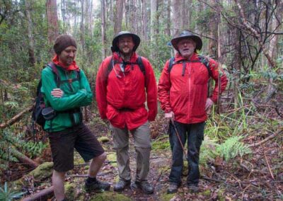 2020 Tasmanian Iconic Walks challenging day walk stroke foundation awareness