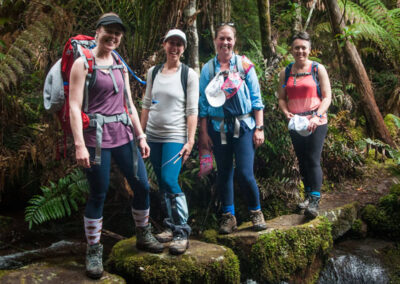 tasmanian walks roraring fourties walking group at tasmanian iconic walks 2021