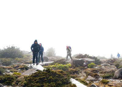 2023 tasmania hikes team 2pm with tasmanian iconic walks