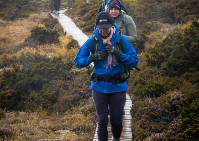 2023 tasmania walks at mount field national park with tasmanian iconic walks