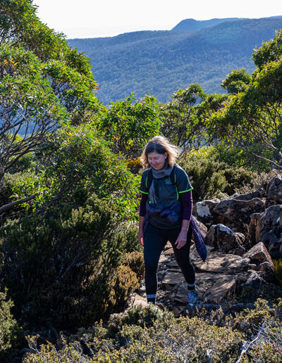 2024 best walks hobart at tarn shelf mount field hiker with tasmanian iconic walks