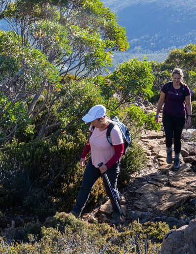 2024 day walks tasmania hikers mid stride with tasmanian iconic walks