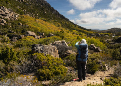 2024 mount field tarn shelf fundraising hike with tasmanian iconic walks