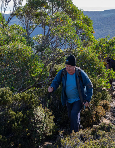 2024 mount field tarn shelf fundraising walk tasmanian iconic walks