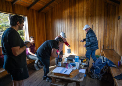 2024 mount field tarn shelf fundraising walk with tasmanian iconic walks