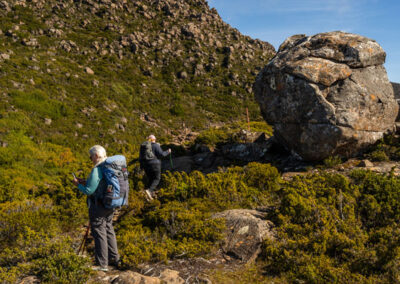 2024 walks in tasmania at tarn shelf mount field national park with tasmanian iconic walks